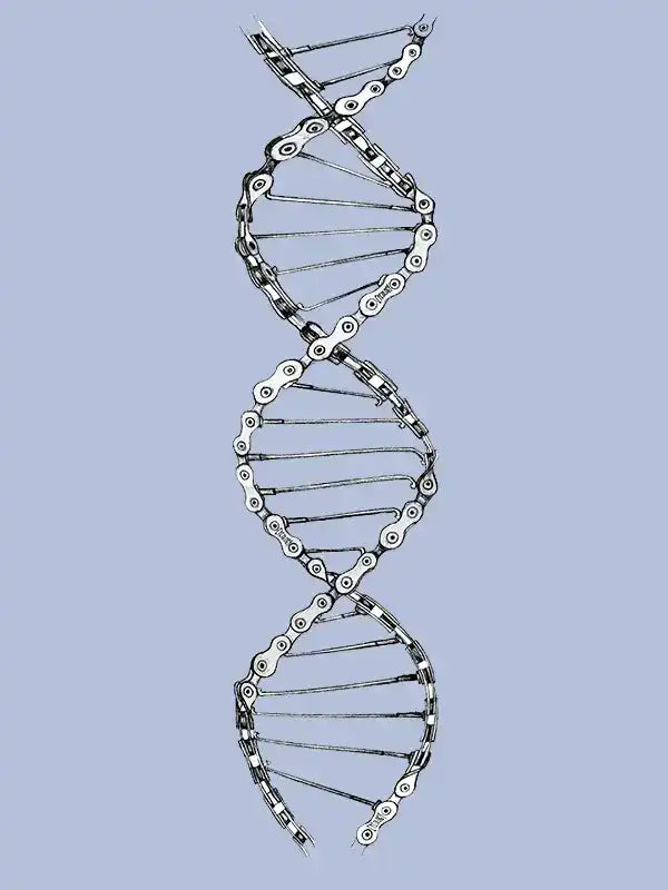 DNA double helix made from bicycle chain links, symbolizing cycling apparel design innovation